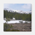 Sierra Nevada Mountains and Snow Magnet