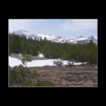 Sierra Nevada Mountains and Snow Postcard