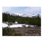 Sierra Nevada Mountains and Snow Postcard