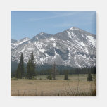 Sierra Nevada Mountains I Magnet