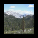 Sierra Nevada Mountains Magnet