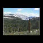 Sierra Nevada Mountains Postcard