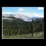 Sierra Nevada Mountains Postcard