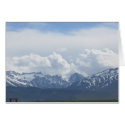 Sierra Nevadas cards