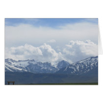 Sierra Nevadas cards