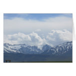 Sierra Nevadas cards