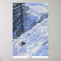 Sierra Snow, Highway 88 print
