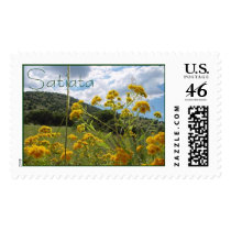 Sierra Vista, AZ postage
