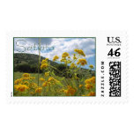 Sierra Vista, AZ Postage Stamp