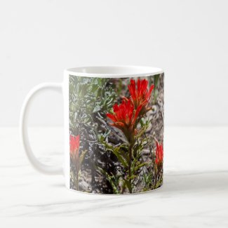 Sierra Wildflower Mugs - Paintbrush