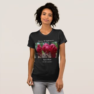 Sierra Wildflowers T-Shirt Gift for Nature Lovers
