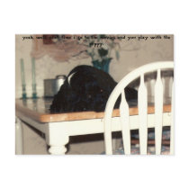 siesta jojo style, cocker tales postcards
