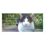 SIFI rack card - Badger rack cards