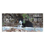 SIFI rack card - Merlin rack cards