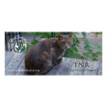 SIFI rack card - Nineva rack cards