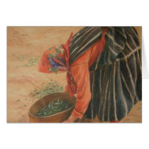 Sifting the Olives cards by melissaenderle Sifting the Olives cards