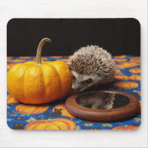 Sights of the Season Mouse Mats