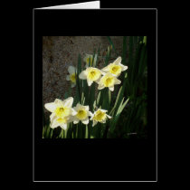 Sign of Spring cards
