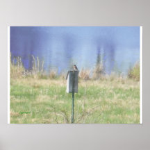 Sign of Spring Print