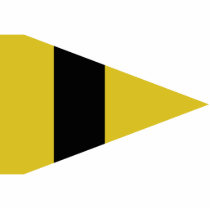 Signal Corps Company Commander, Germany flag Photo Cut Outs