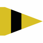 Signal Corps Company Commander, Germany flag Photo Cut Outs