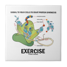 Signal To Start Protein Synthesis Exercise Tiles