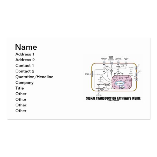 Signal Transduction Pathways Inside (Cell Biology) Business Card Templates (front side)