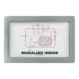 Signaling Inside (Signal Transduction Pathways) Belt Buckle