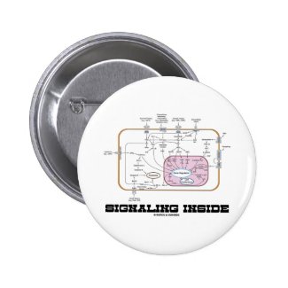 Signaling Inside (Signal Transduction Pathways) Pinback Buttons