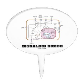 Signaling Inside (Signal Transduction Pathways) Cake Toppers