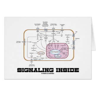 Signaling Inside (Signal Transduction Pathways) Card