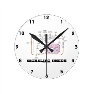 Signaling Inside (Signal Transduction Pathways) Round Wallclocks