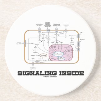Signaling Inside (Signal Transduction Pathways) Beverage Coaster