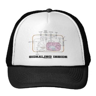 Signaling Inside (Signal Transduction Pathways) Hat
