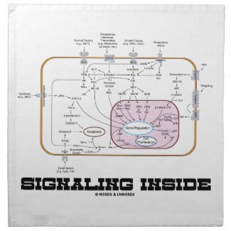 Signaling Inside (Signal Transduction Pathways) Napkins
