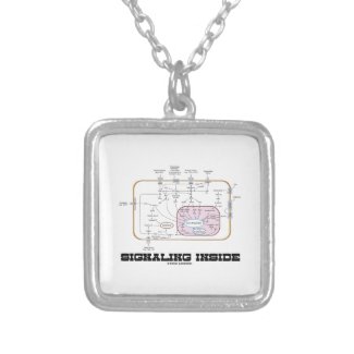 Signaling Inside (Signal Transduction Pathways) Jewelry