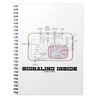 Signaling Inside (Signal Transduction Pathways) Notebook