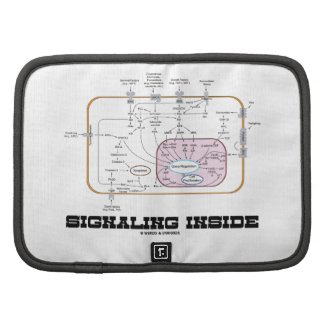 Signaling Inside (Signal Transduction Pathways) Organizer