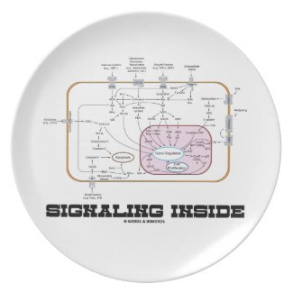 Signaling Inside (Signal Transduction Pathways) Dinner Plate