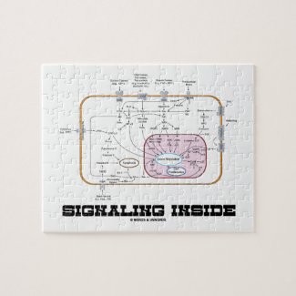 Signaling Inside (Signal Transduction Pathways) Puzzles