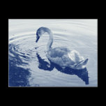 Signet Swan - Digital Cyanotype postcards