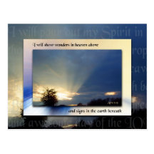 Signs and Wonders Postcard