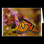 Signs of Autumn Greeting Card cards