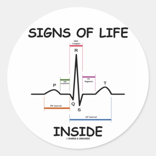 700+ Ecg Stickers and Ecg Sticker Designs Zazzle