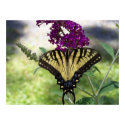 Signs of Spring posters by meyer0409 Signs of Spring posters