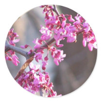 Signs of Spring stickers by KatAnnette Signs of Spring stickers