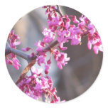 Signs of Spring stickers