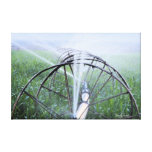 Signs of Summer on the Farm Stretched Canvas Prints
