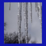 Signs of Winter