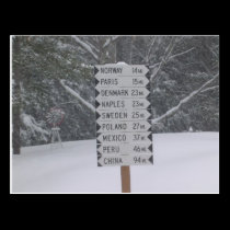 Signs postcards